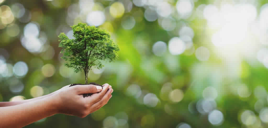 Green world Laundry North Bergen