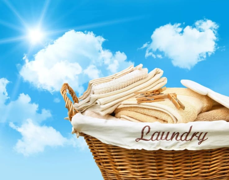 Laundry Pickup and Drop Off Services